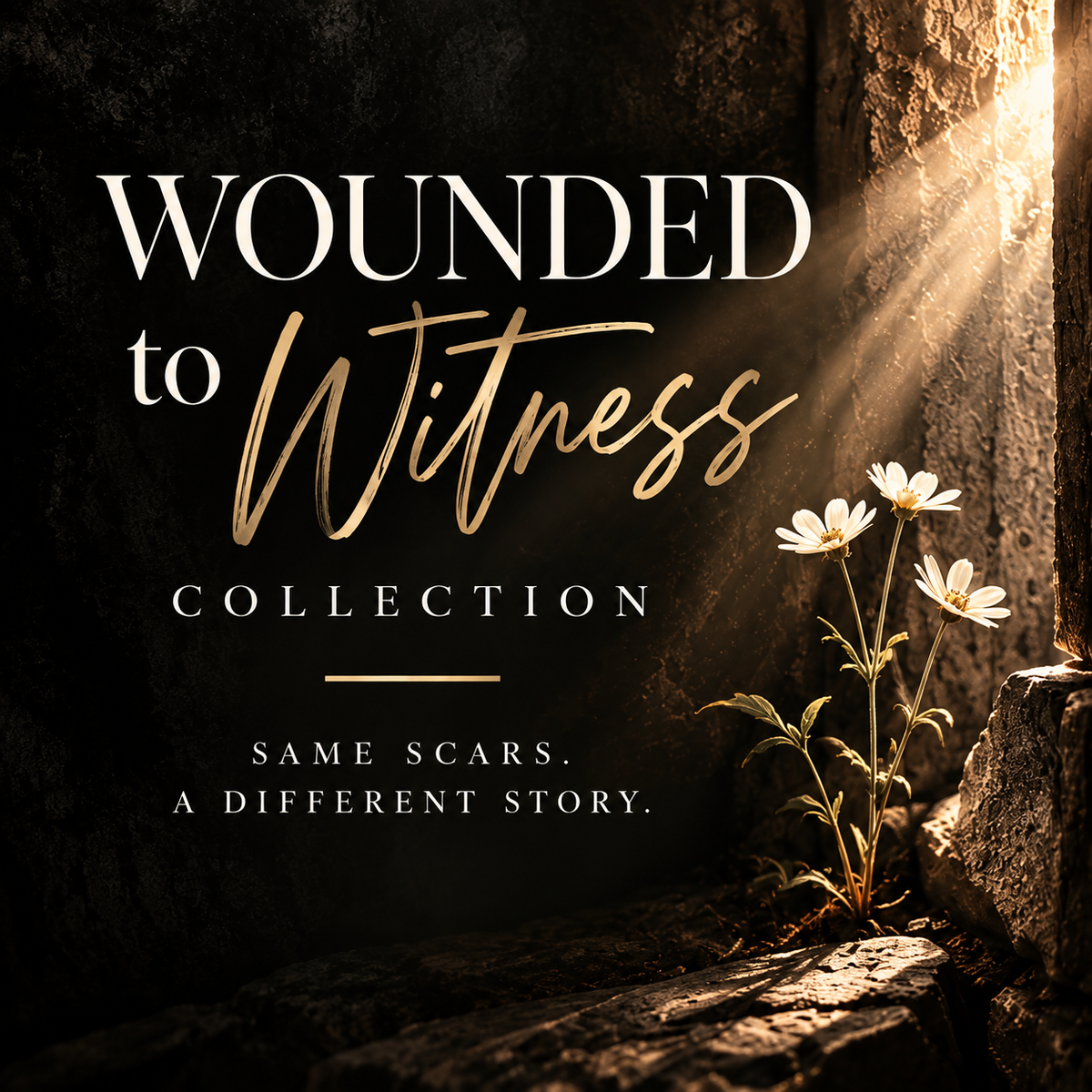 Wounded to Witness Collection